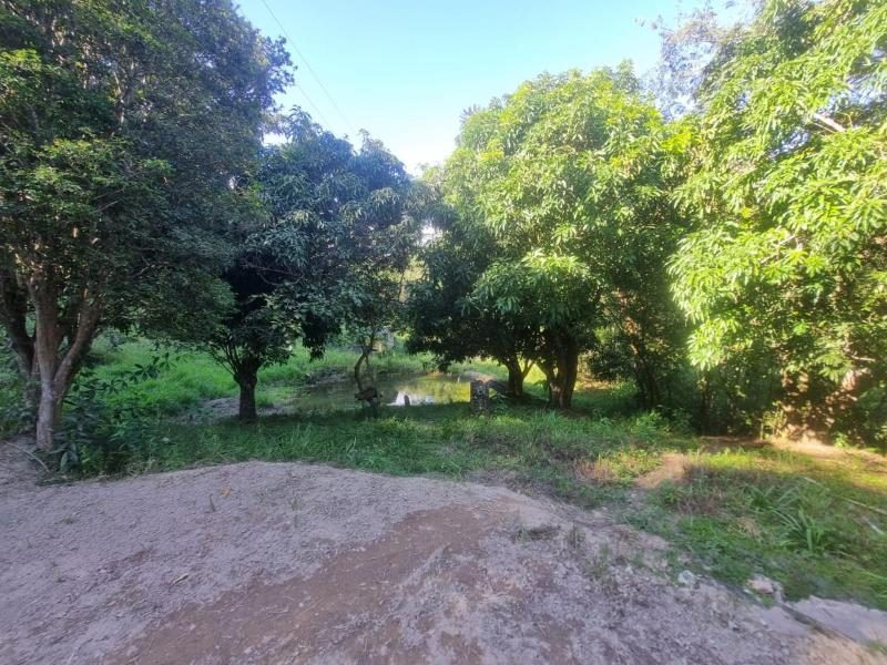 Sitio em Glaura